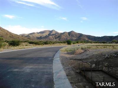 17332 S Painted Vistas Way, Vail, AZ 85641 photo 3