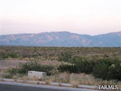 17332 S Painted Vistas Way, Vail, AZ 85641 photo 7