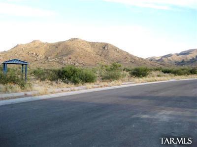 17332 S Painted Vistas Way, Vail, AZ 85641 photo 4