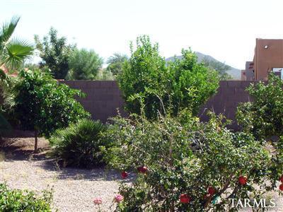 14125 E Camino Galante, Vail, AZ 85641 photo 8