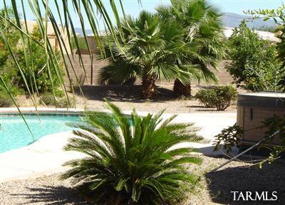 14125 E Camino Galante, Vail, AZ 85641 photo 1