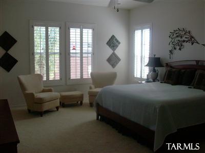 17189 S Painted Vistas Way, Vail, AZ 85641 photo 12