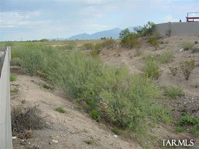 8837 E Fruit Tree Dr, Tucson, AZ 85730 photo 14