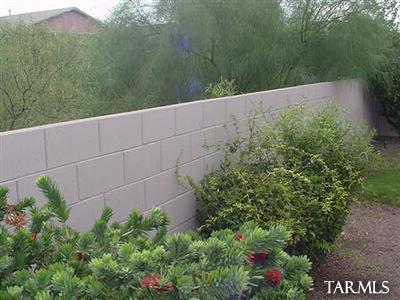8837 E Fruit Tree Dr, Tucson, AZ 85730 photo 17