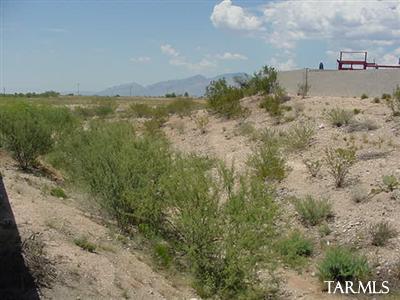 8837 E Fruit Tree Dr, Tucson, AZ 85730 photo 13