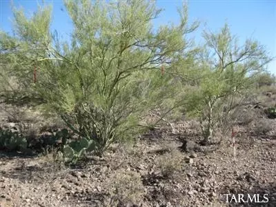 4581 Bilbray Ave S, Tucson, AZ 85746 photo 1