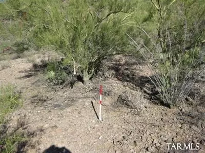 4581 Bilbray Ave S, Tucson, AZ 85746 photo 6