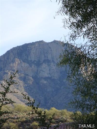 2298 E Stone Stable Dr, Tucson, AZ 85737 photo 2