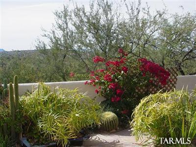 6020 Edwin Rd, Tucson, AZ 85739 photo 4
