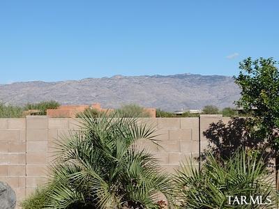 9355 S Avenida Mochuelo, Vail, AZ 85641 photo 18