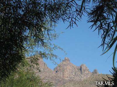 9320 E Walnut Tree Dr, Tucson, AZ 85749 photo 6