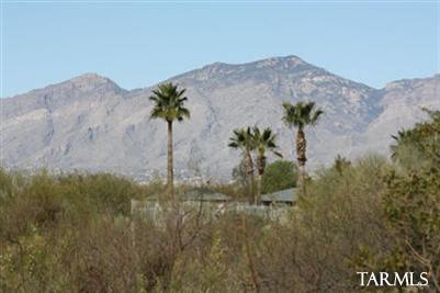 10248 E Buffaloberry Loop, Tucson, AZ 85748 photo 23