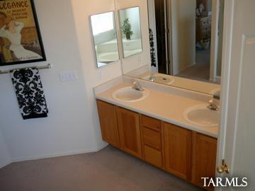 10248 E Buffaloberry Loop, Tucson, AZ 85748 photo 13