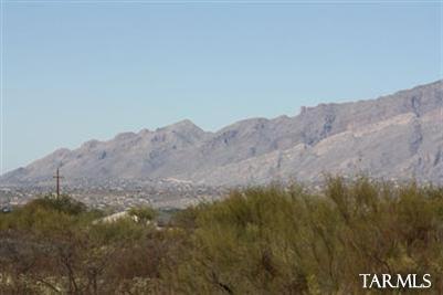 10248 E Buffaloberry Loop, Tucson, AZ 85748 photo 24