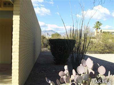 7823 E 4th St, Tucson, AZ 85710 photo 3