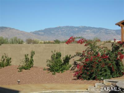 9351 S Placita Del Estero, Vail, AZ 85641 photo 24