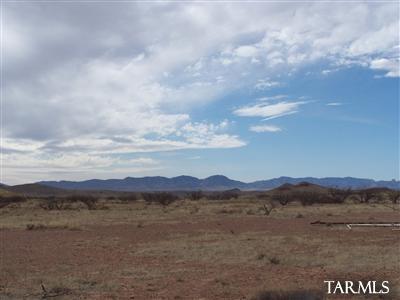 6355 E Duke Ranch Rd, Pearce, AZ 85625 photo 2