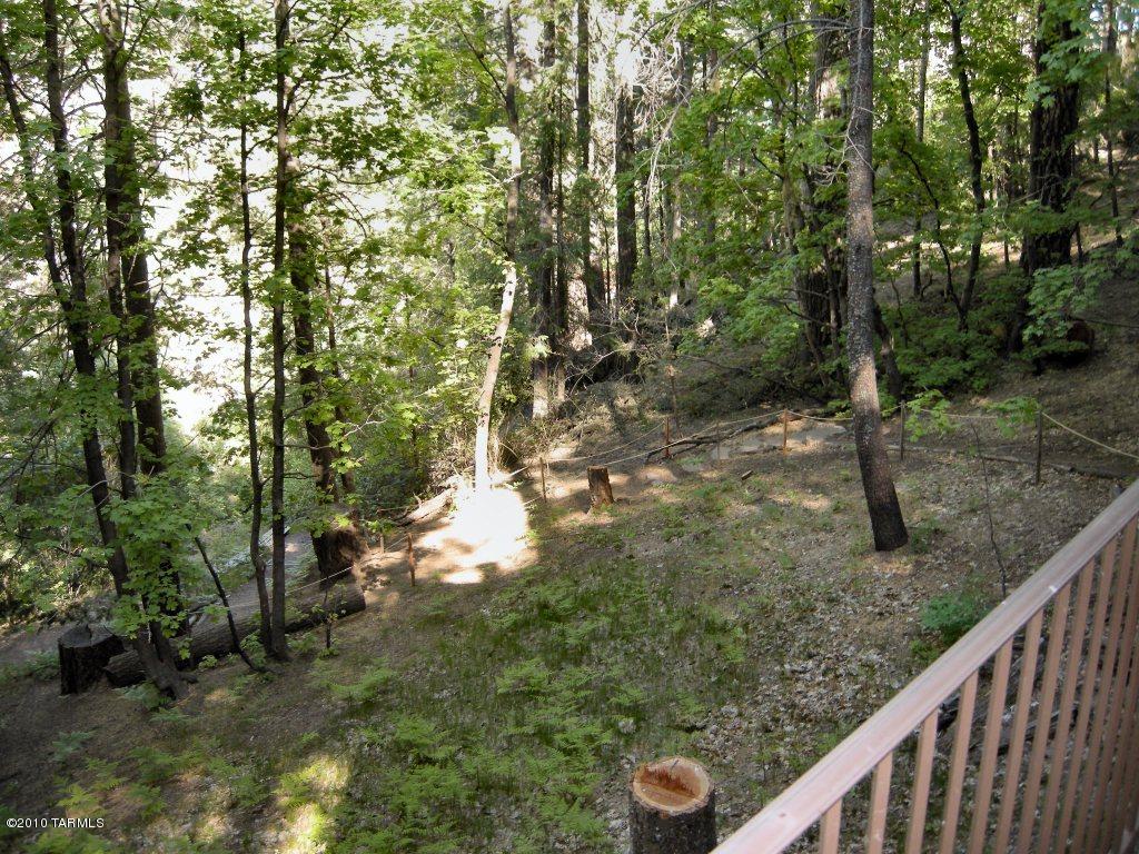11070 E Turkey Run E, Mount Lemmon, AZ 85619 photo 13