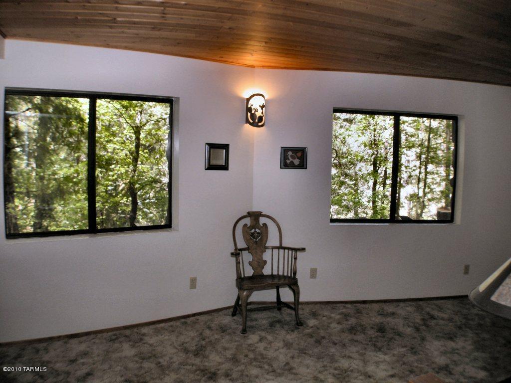 11070 E Turkey Run E, Mount Lemmon, AZ 85619 photo 9