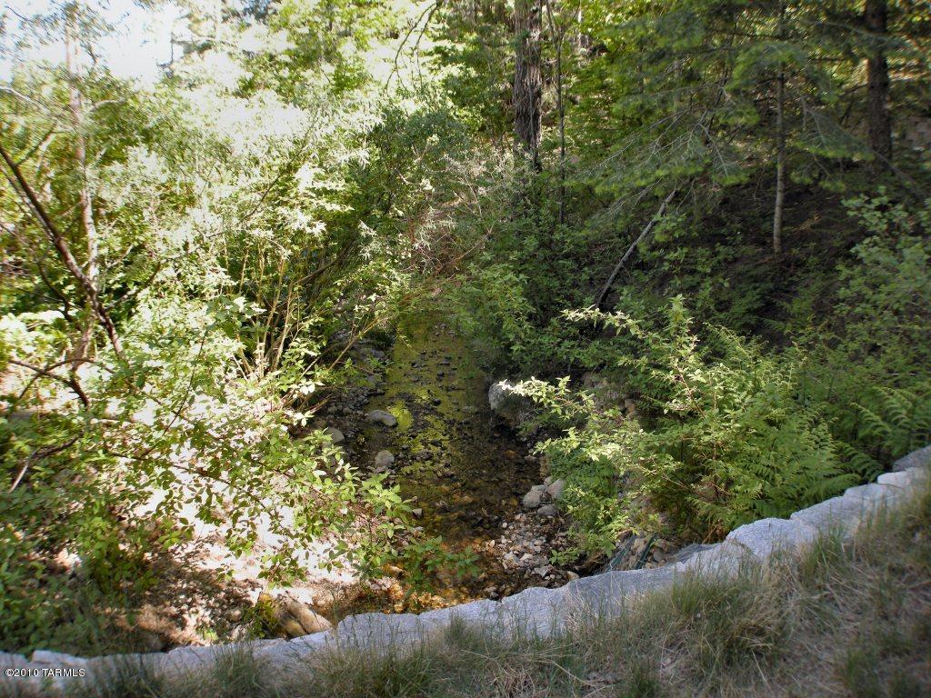 11070 E Turkey Run E, Mount Lemmon, AZ 85619 photo 14