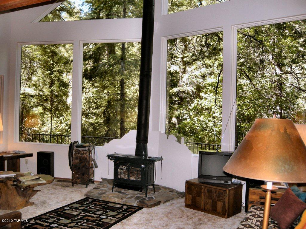 11070 E Turkey Run E, Mount Lemmon, AZ 85619 photo 2