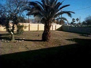 4541 E 15th St, Tucson, AZ 85711 photo 3