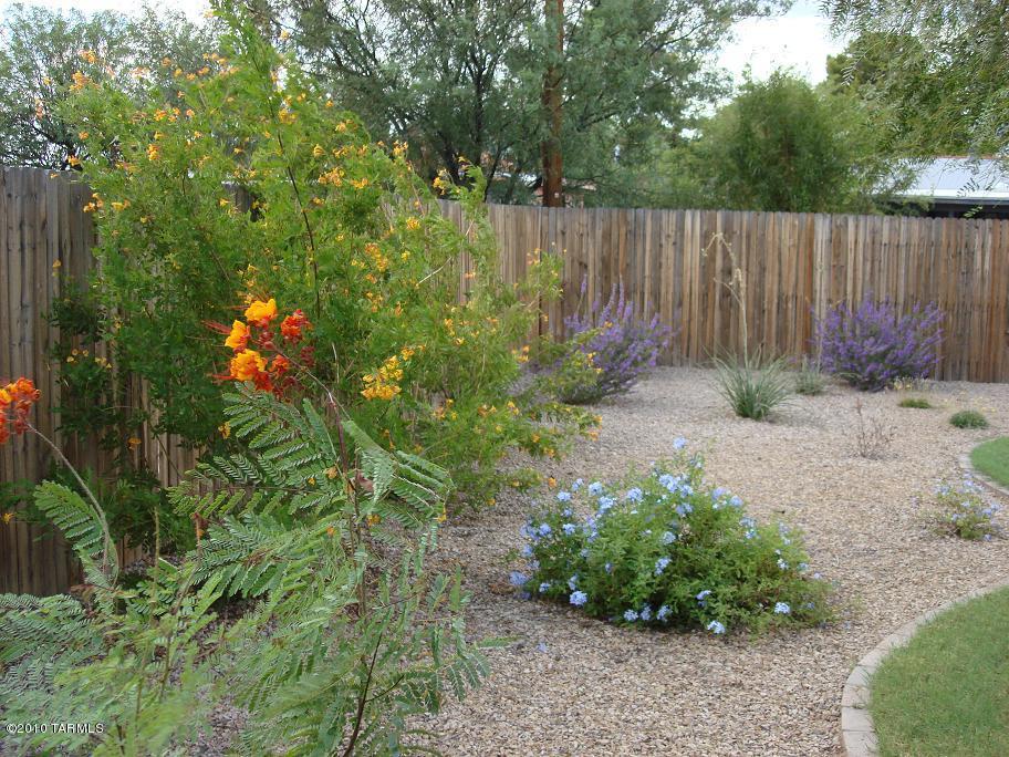 5357 E 19th St, Tucson, AZ 85711 photo 9