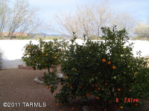 9910 E Sandshell Ct, Tucson, AZ 85748 photo 23