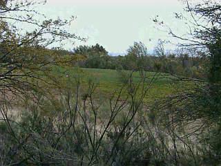 8520 E Desert Springs St, Tucson, AZ 85730 photo 3