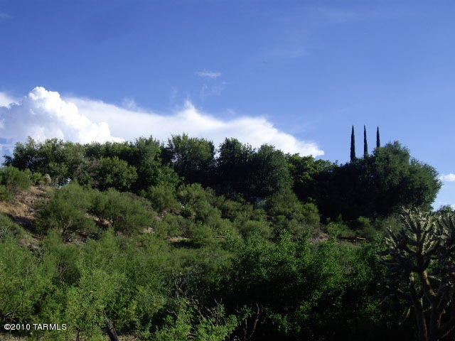 86785 E Cedar Crst, Mammoth, AZ 85618 photo 20