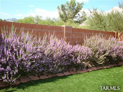 1371 E Mountain Pl, Tucson, AZ 85719 photo 14