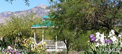 3931 E Schroeder Rd, Tucson, AZ 85739 photo 7