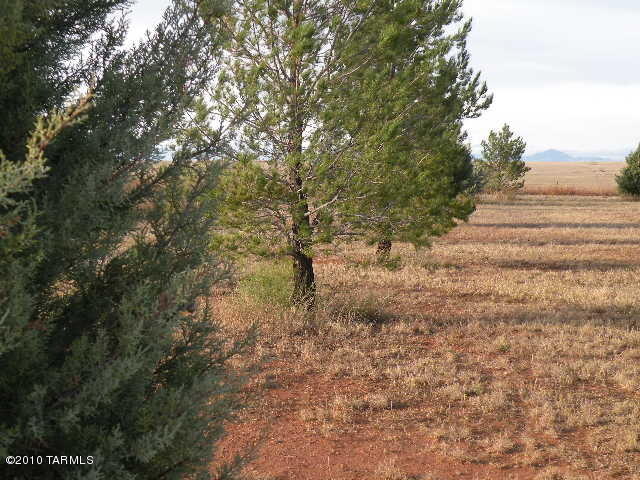 45 Prairie Ln, Elgin, AZ 85611 photo 20