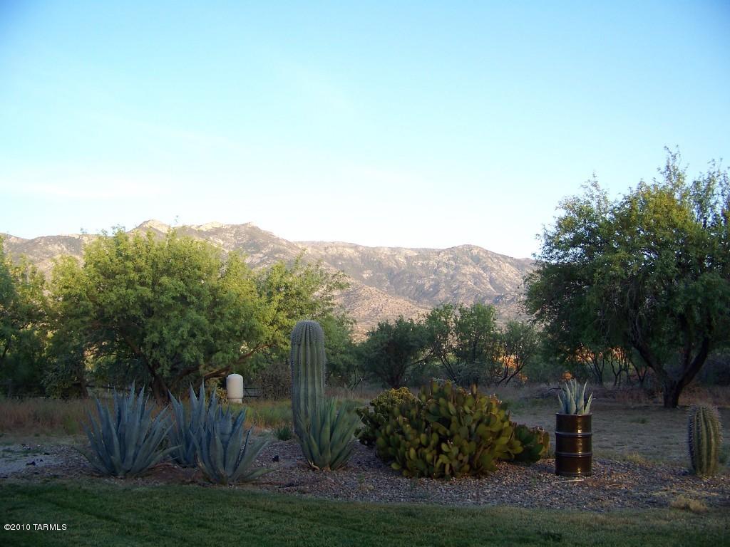 5300 Edwin, Tucson, AZ 85739 photo 3