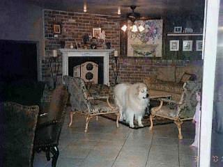 8910 E Bears Path Rd, Tucson, AZ 85749 photo 5
