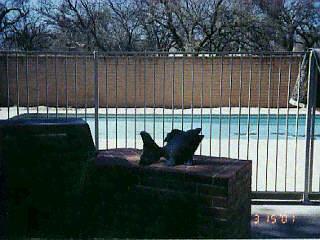 8910 E Bears Path Rd, Tucson, AZ 85749 photo 6