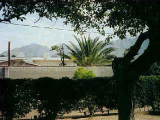 503 E Pastime Rd, Tucson, AZ 85705 photo 6
