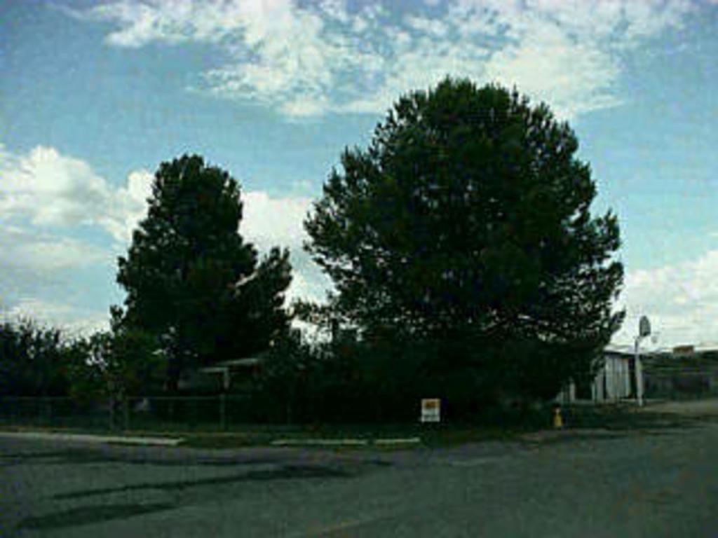 208 N Brandt Ave, Benson, AZ 85602 photo 3