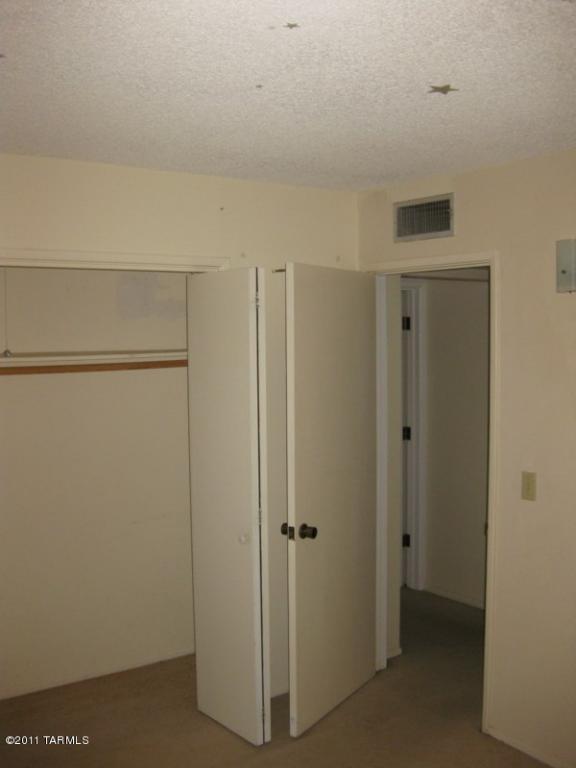 10530 E Observatory Dr, Vail, AZ 85641 photo 8