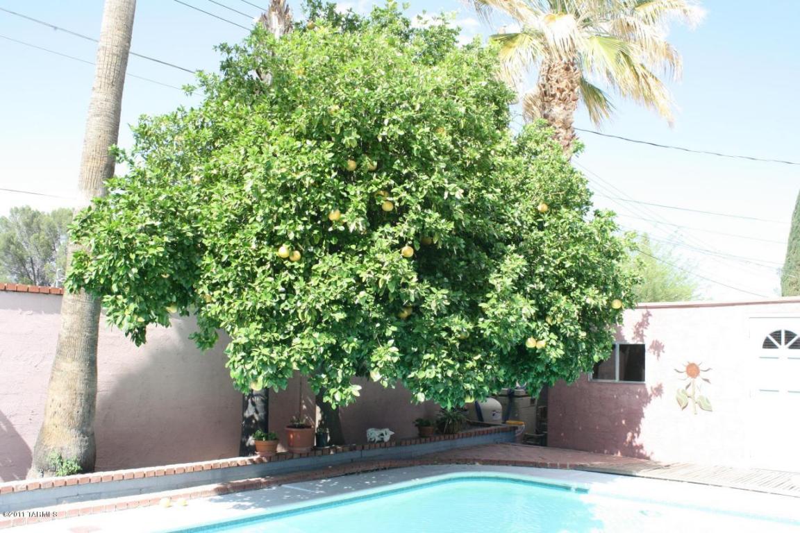 3849 E Hampton St, Tucson, AZ 85716 photo 25