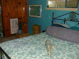 2602 E Hedrick Dr, Tucson, AZ 85716 photo 7