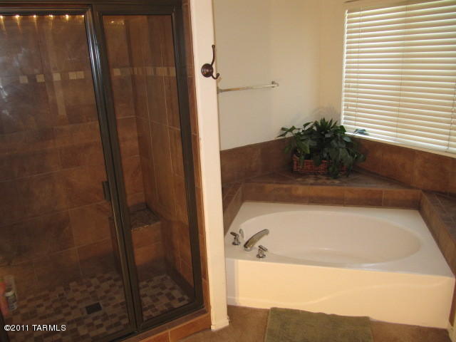 10277 E Buffaloberry Loop, Tucson, AZ 85748 photo 19