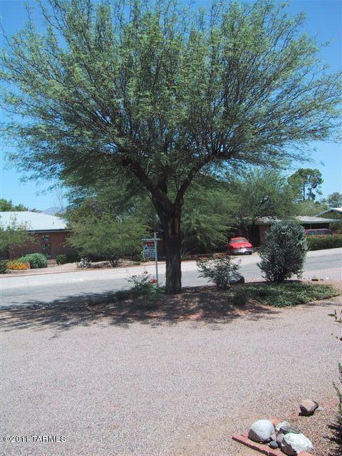 5204 E 8th St, Tucson, AZ 85711 photo 13