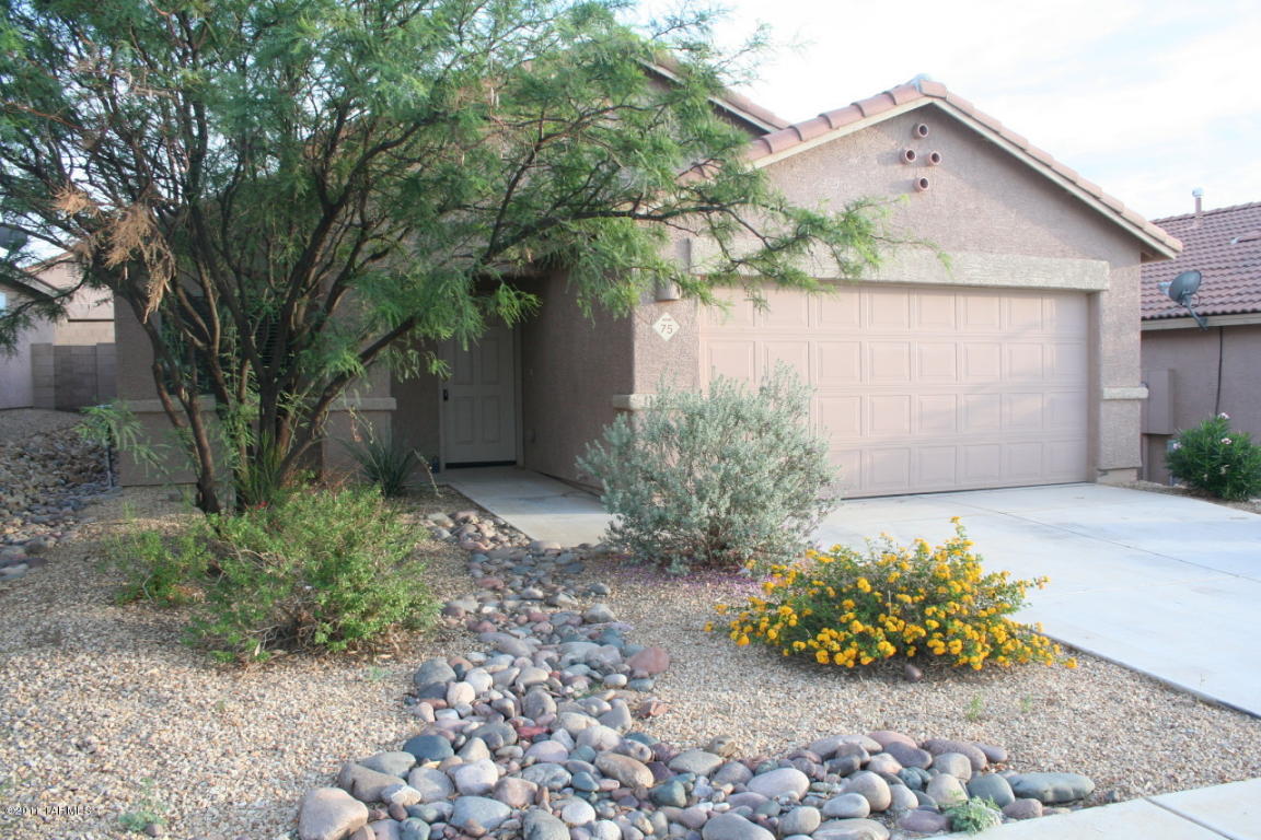 75 W Bryan Scott Pl, Vail, AZ 85641 photo 1