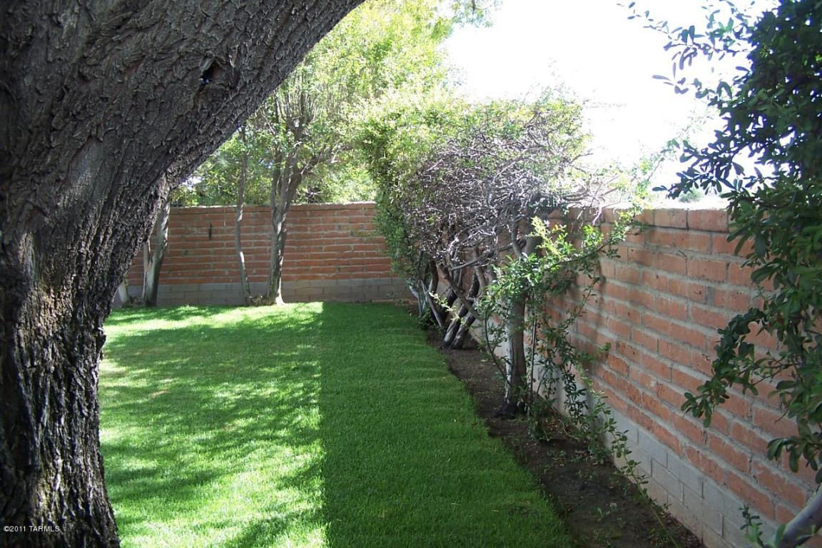 907 W Palomas St, Willcox, AZ 85643 photo 21