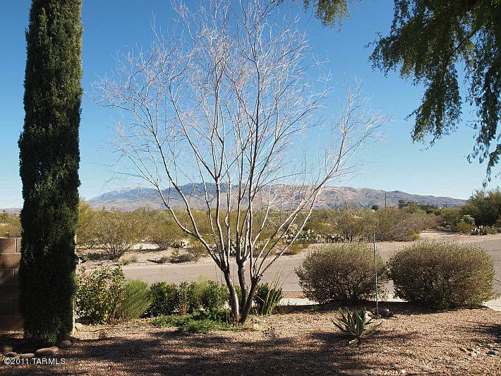 10185 E Rincon Shadows Dr, Tucson, AZ 85748 photo 3