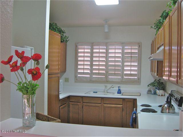 3589 W Thundercloud Loop, Tucson, AZ 85742 photo 18