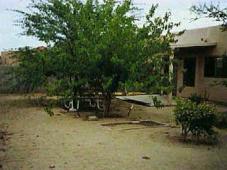 5577 S Wembly Rd, Tucson, AZ 85746 photo 8