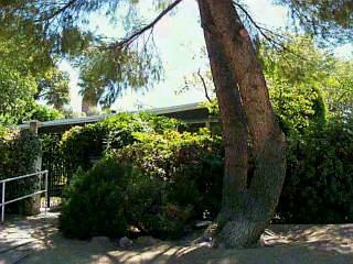 2002 E 3rd St, Tucson, AZ 85719 photo 1