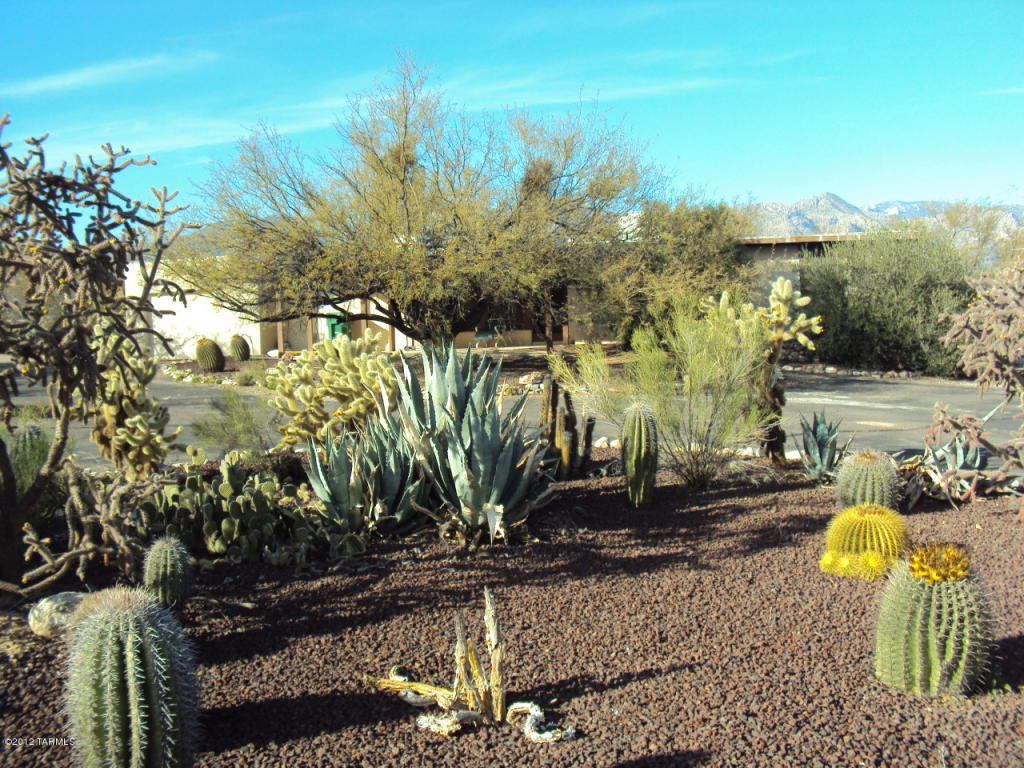 8125 E Cloud Rd, Tucson, AZ 85750 photo 2
